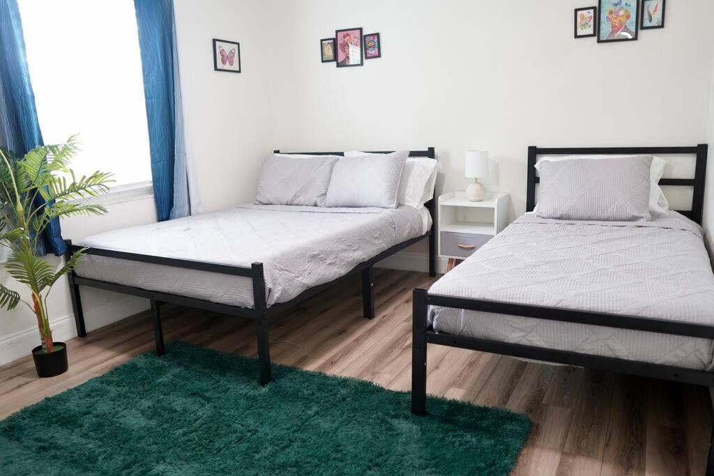 Jay'S Cozy Arts Apartment แทมปา ภายนอก รูปภาพ