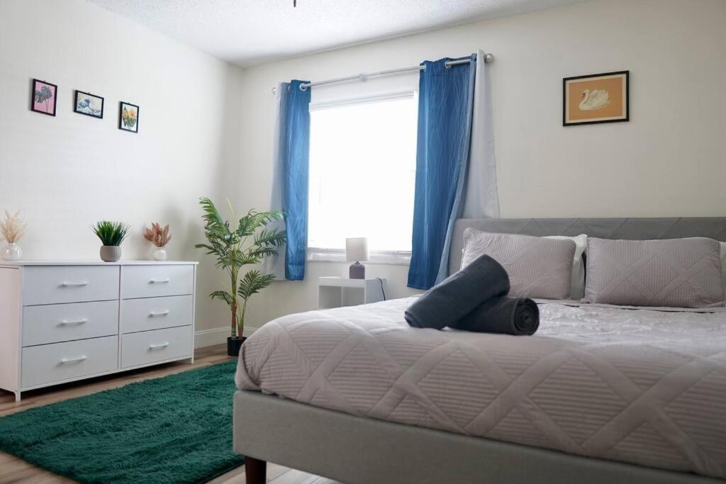 Jay'S Cozy Arts Apartment แทมปา ภายนอก รูปภาพ